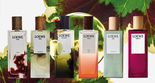 Khám phá cảm xúc tình yêu mùa Valentine qua lăng kính mùi hương LOEWE