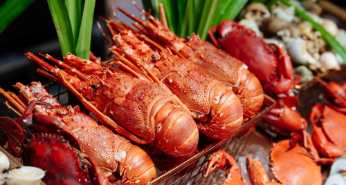 Latest Recipe Saigon ra mắt Waves of Flavor 2026 – Chuỗi buffet theo chủ đề nguyên liệu độc đáo