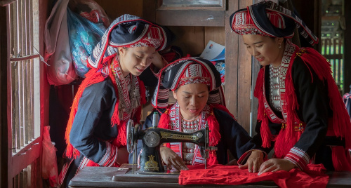 Mùa sang phấp phới cánh hoa bay