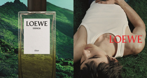 Chiến dịch quảng bá nước hoa LOEWE đầu tiên của Jack McCollough và Lazaro Hernandez