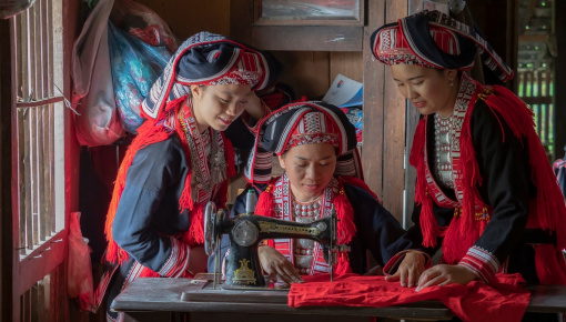 Mùa sang phấp phới cánh hoa bay