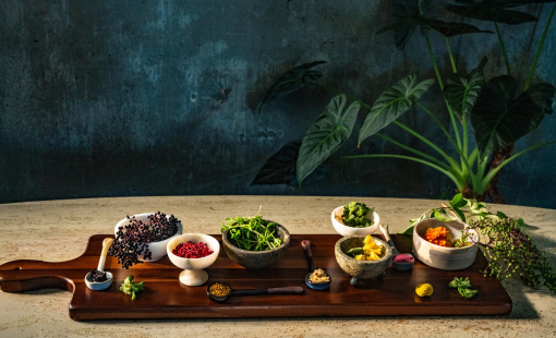 Xu hướng ẩm thực & cocktail 2026 qua lăng kính Kimpton