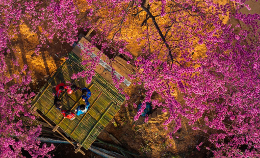 Ta trẻ vui đời xuân tươi