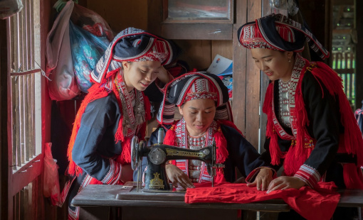 Mùa sang phấp phới cánh hoa bay