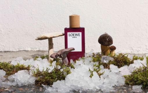 Quà tặng tinh tế từ LOEWE  dành cho Ngày Phụ nữ Việt Nam