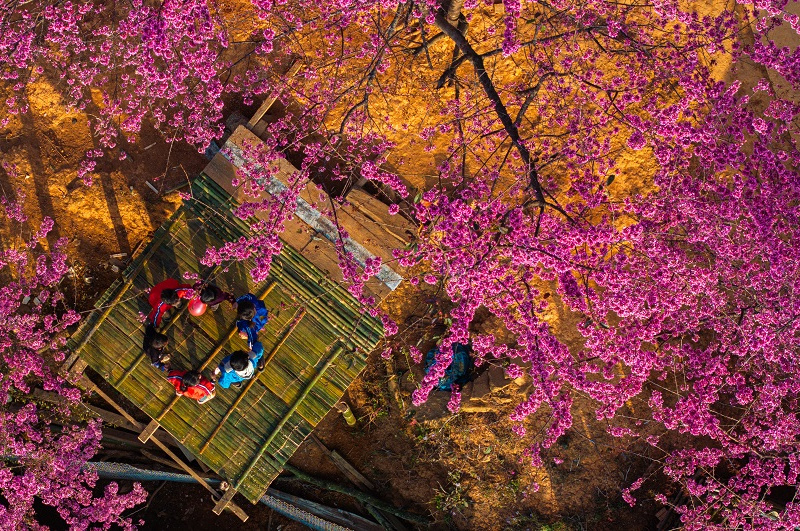 Ta trẻ vui đời xuân tươi