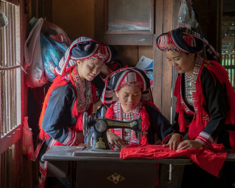 Mùa sang phấp phới cánh hoa bay