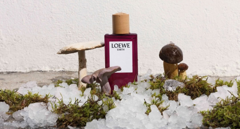 Quà tặng tinh tế từ LOEWE  dành cho Ngày Phụ nữ Việt Nam