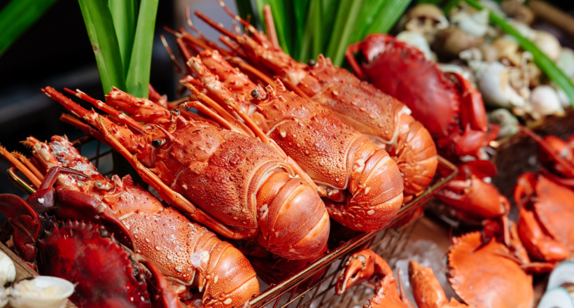 Latest Recipe Saigon ra mắt Waves of Flavor 2026 – Chuỗi buffet theo chủ đề nguyên liệu độc đáo